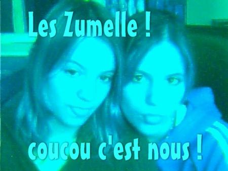 les zumelle